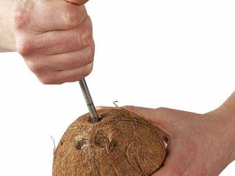 Как открыть кокос в домашних условиях, разделать и почистить его, как правильно хранить этот фрукт