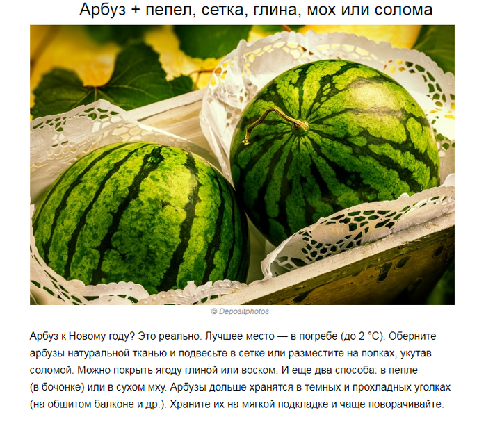 Как сохранить арбуз до нового года в домашних условиях: основные правила и рекомендации, выбор сорта