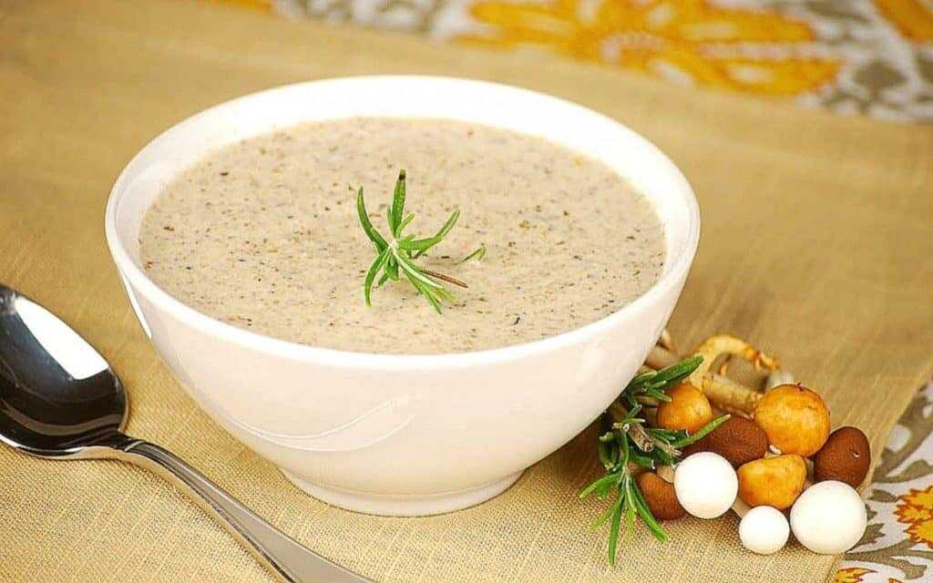 Грибной суп-пюре – нежный вариант любимого блюда. лучшие рецепты грибного супа-пюре: со сливками, с сыром, рисом, коньяком, креветками