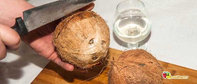 10 способов, как открыть кокос в домашних условиях при помощи молотка и без него