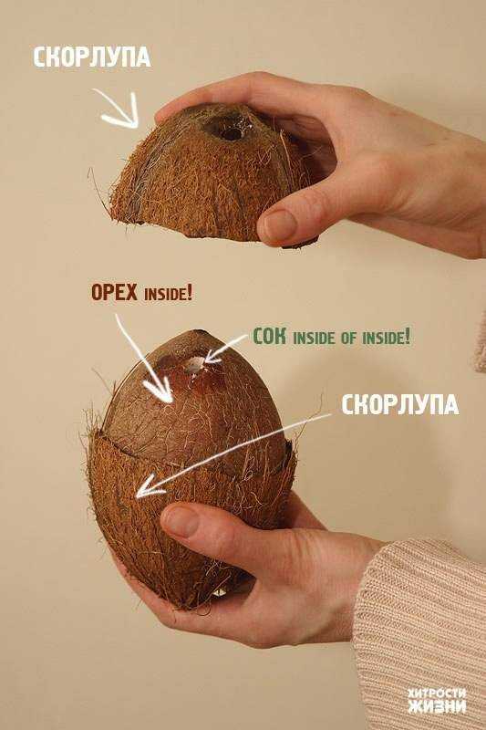 Как правильно открыть кокос в домашних условиях и быстро вскрыть
