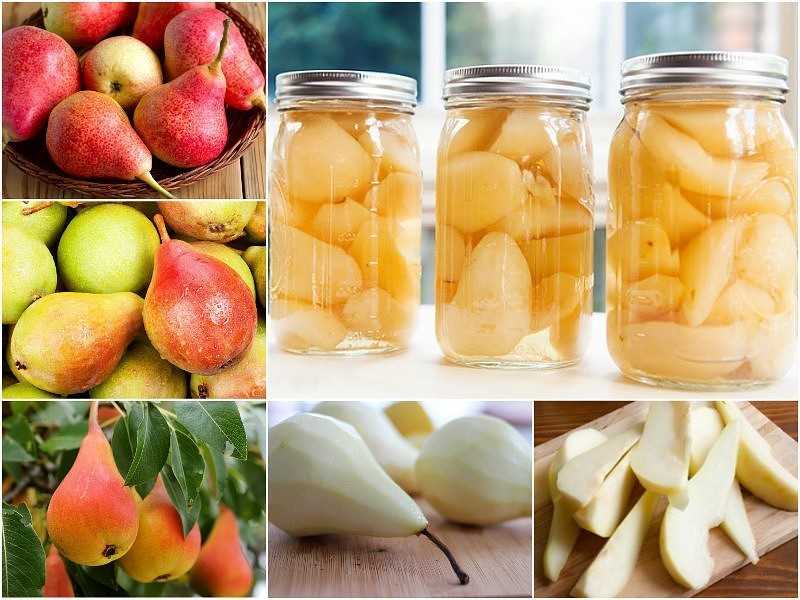 Компот из груш на зиму: вкусные рецепты для заготовок в банках
