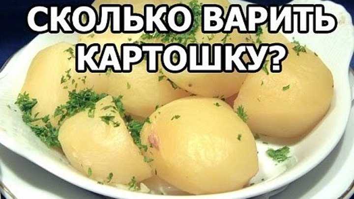 Как вкусно сварить картошку: правила, секреты, необычные ингредиенты