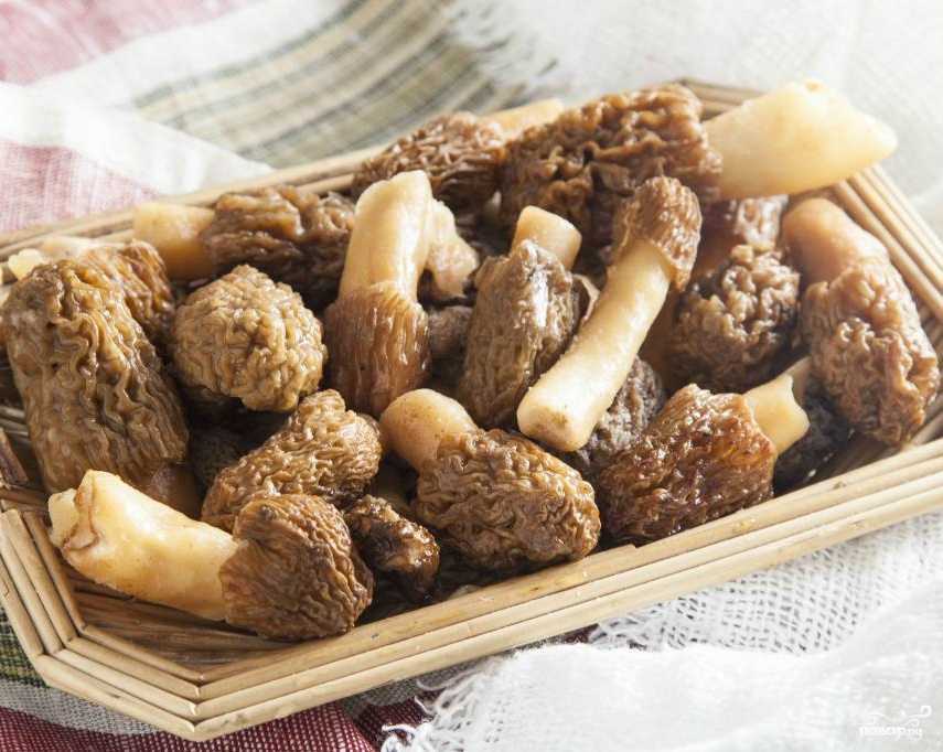Сколько варить грибы перед жаркой и зачем это нужно делать?
