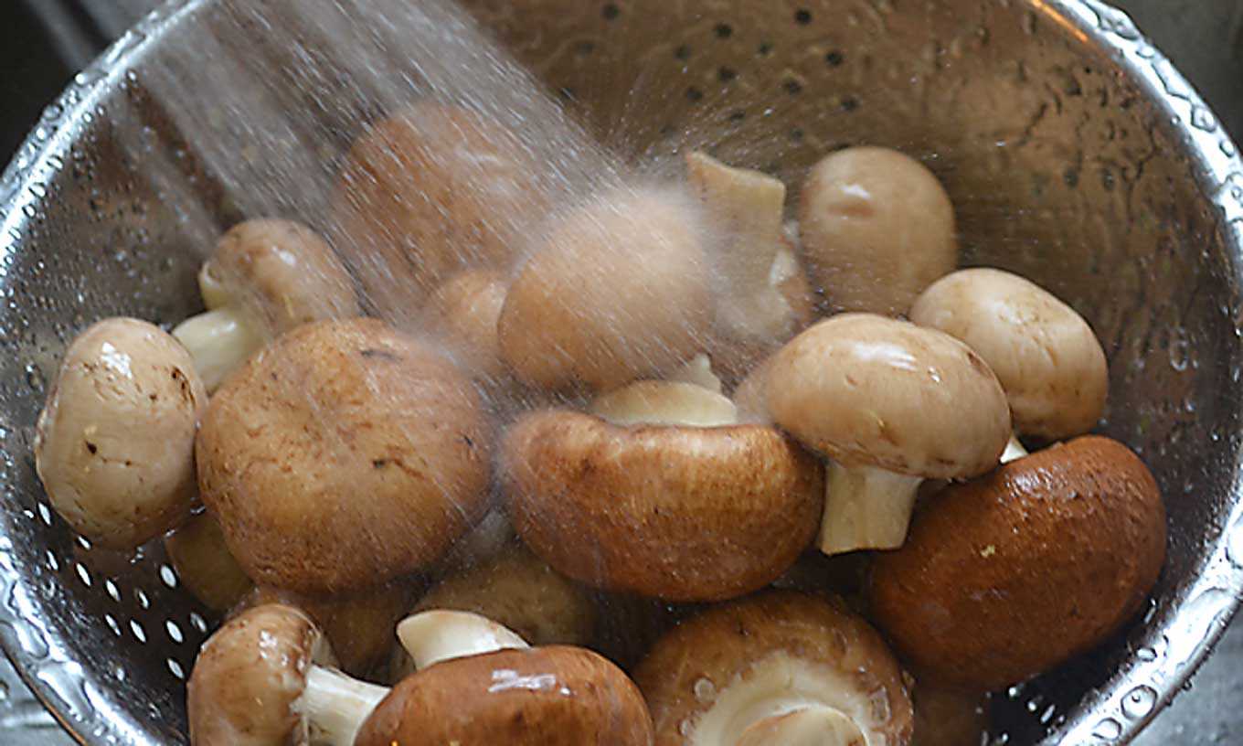 Как готовить грибы в домашних условиях. Вареные белые грибы. Варка грибов. Чистка грибов. Подготовка грибов.