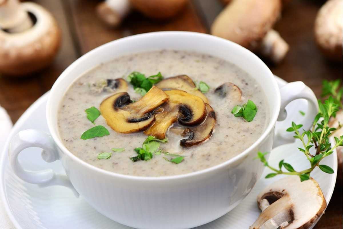 Грибной суп-пюре из белых грибов-рецепт из сушеных и свежих или замороженных