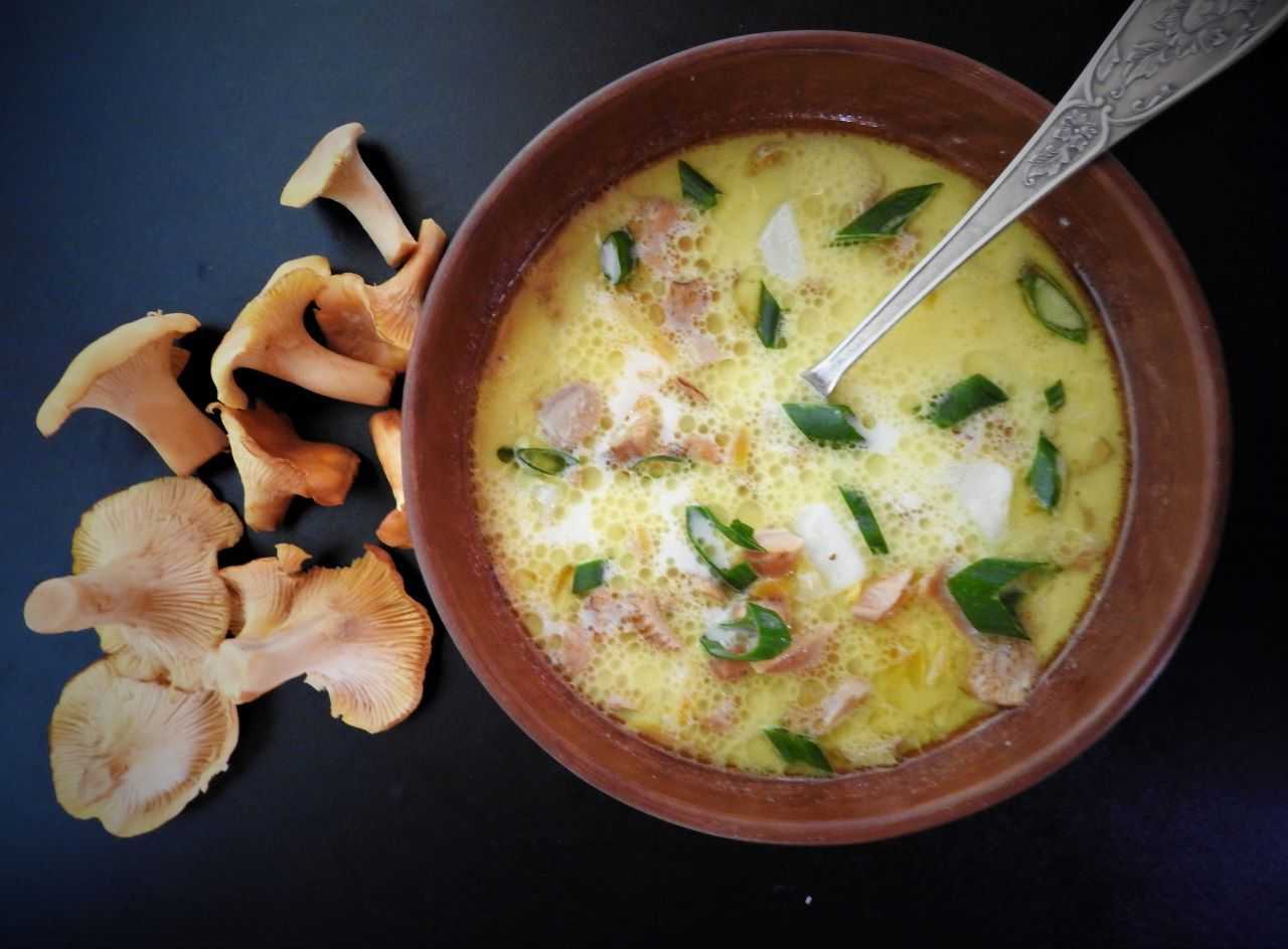 Суп-пюре из индейки: 7 рецептов, советы по приготовлению