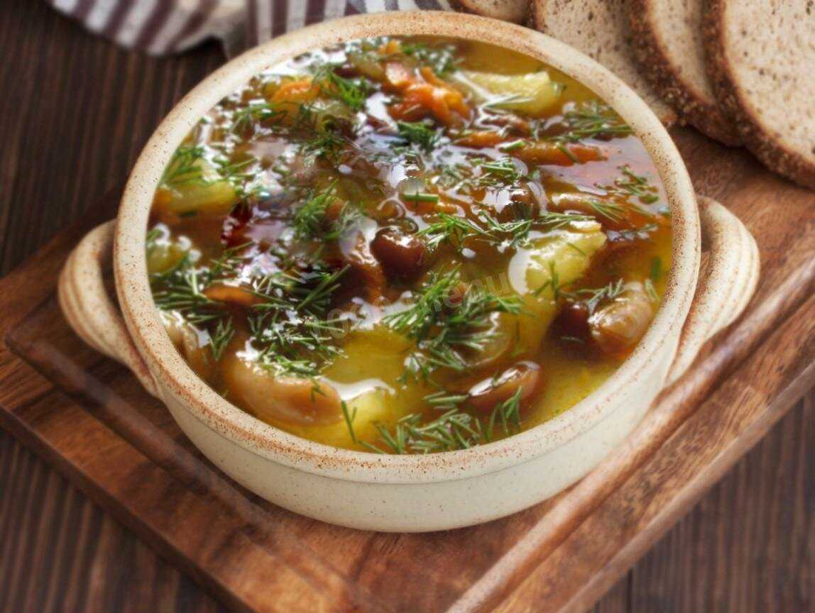 Суп с шампиньонами и плавленным сыром – колоритное сочетание ароматов: рецепт с фото и видео