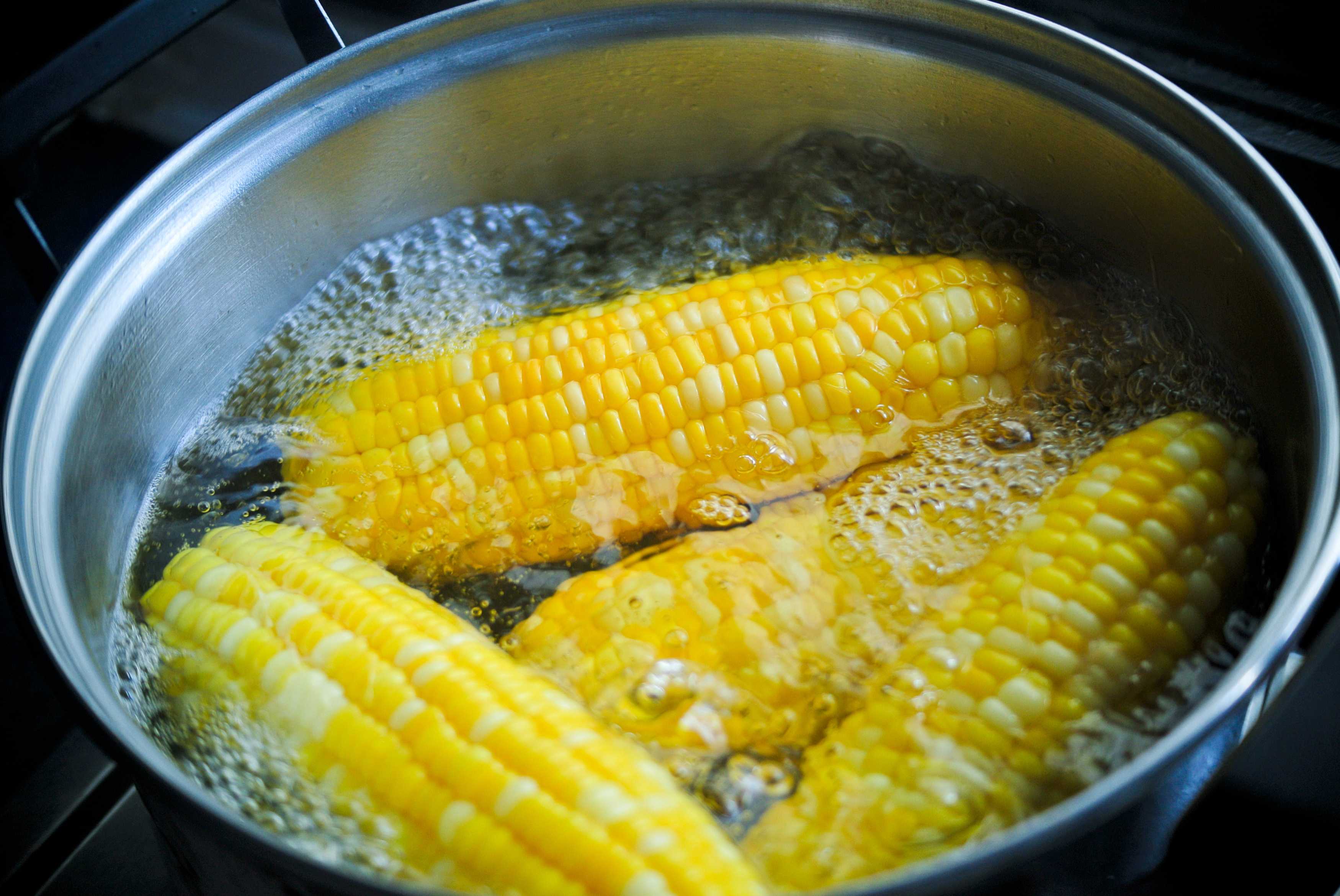 Кукуруза вареная в початках. Вареная кукуруза. Кукуруза початок. Вкусная кукуруза вареная. Кукурузная вареная.